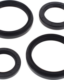 Differential Seal Kit