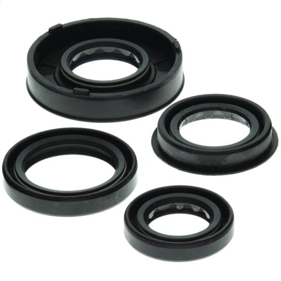 Vertex Engine Oil Seal Kit 822261