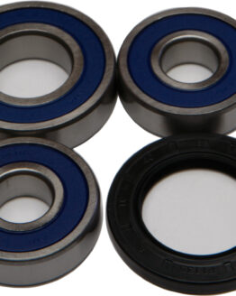 Wheel Bearing & Seal Kit