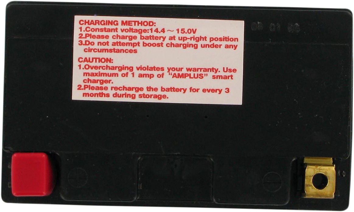 AGM Maintenance Free Battery 210CCA 12V 11Ah Factory Activated - Image 3