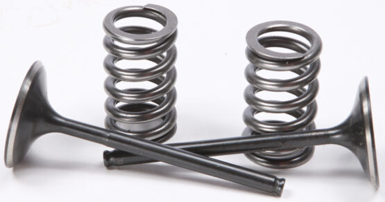 Steel Intake Valve/Spring Kit