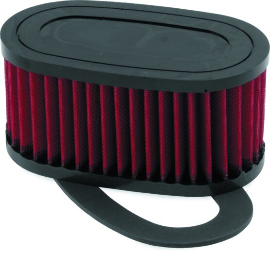 Honda VT750C/CD Shadow ACE/DLX Air Filter