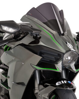 Dark Smoke Racing Windscreen