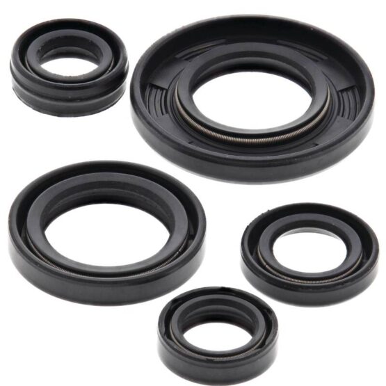 Vertex Engine Oil Seal Kit 822240
