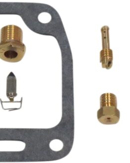 Carburetor Repair Kit