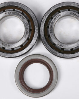 Crankshaft Bearing & Seal Kit