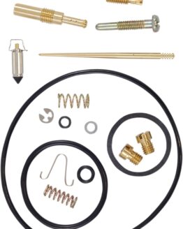 Carburetor Repair Kit