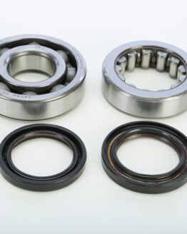 Crankshaft Bearing & Seal Kit