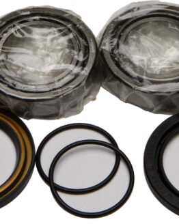 Wheel Bearing & Seal Kit
