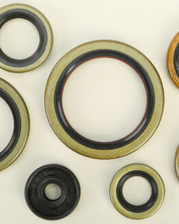 Vertex Oil Seal Kit Fits 2017 KTM 250SX 250XC 300XC 300XC-W