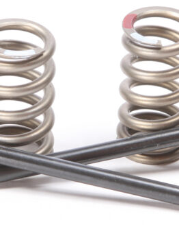 Steel Exhaust Valve/Spring Kit