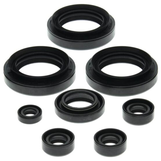 Vertex Engine Oil Seal Kit 822151