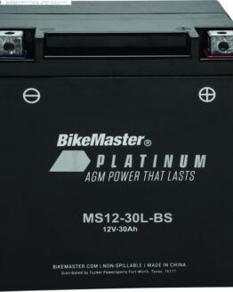 AGM Platinum II Battery