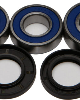 Rear Wheel Bearing & Seal Kit