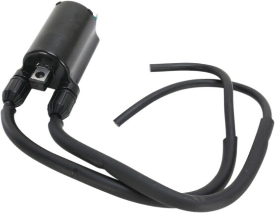 Replacement Ignition Coil, Dual Lead - Image 3