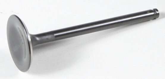 Black Diamond Exhaust Valve