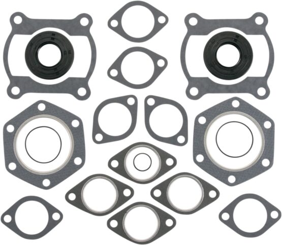 Vertex Complete Gasket Kit with Oil Seals Fits Polaris 440 F/C