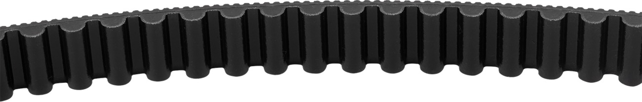 S&S 134 Tooth 24mm Drive Belt for Harley Softail M8 18-22 - Image 3