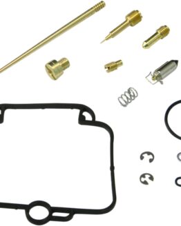 Carburetor Repair Kit