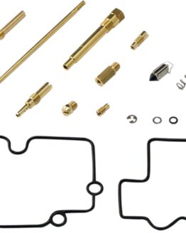 Carburetor Repair Kit