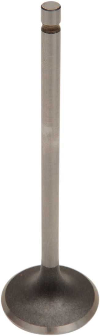 6E61764D-4441-4AE6-9FC8-85549A9B933E.jpg 6E61764D-4441-4AE6-9FC8-85549A9B933E.jpg