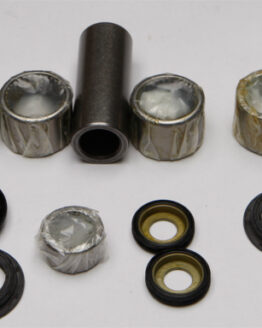 Swing Arm Linkage Bearing & Seal Kit