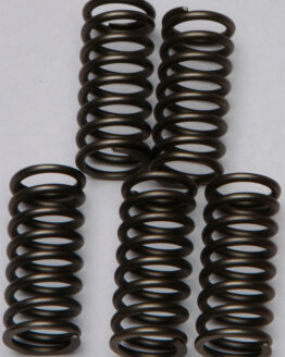 EBC CSK132 Clutch Spring Kit +15% Performance CSK Series