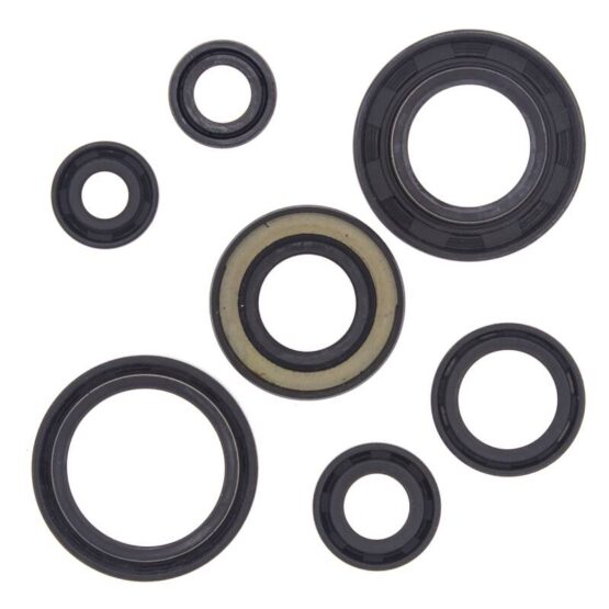 Vertex Engine Oil Seal Kit Fits 88-06 Yamaha YFS200 Blaster