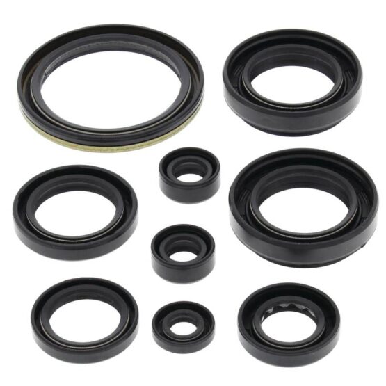 Vertex Engine Oil Seal Kit Fits 2000-2009 Arctic Cat Suzuki