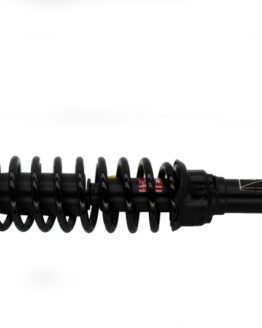 Shocks & Struts Strut Plus Rear Honda Civic 1996-00