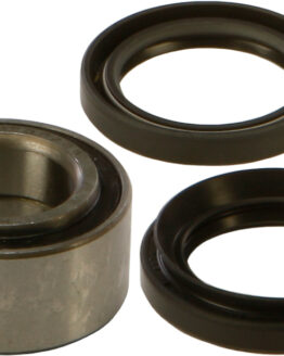 Wheel Bearing & Seal Kit