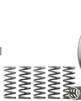 FSC Complete Clutch Plate & Spring Kit (8 Plates)