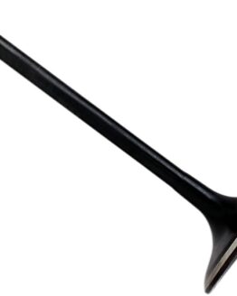 Intake Valve