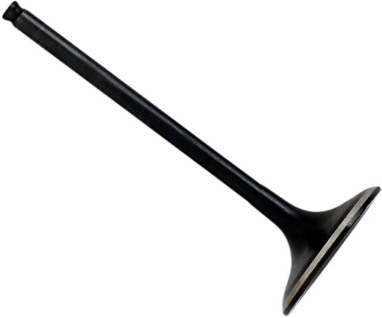 Intake Valve
