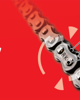 RK Chain 525-130 - Natural