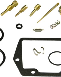 Carburetor Repair Kit