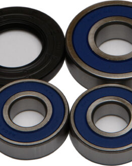 Rear Wheel Bearing & Seal Kit