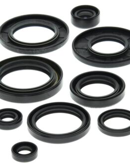 Vertex Oil Seal Kit Fits 87-92 Suzuki LT250R Quadracer