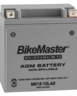 AGM Platinum II Battery