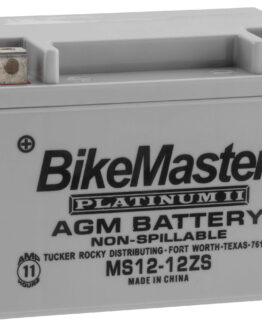 AGM Platinum II Battery