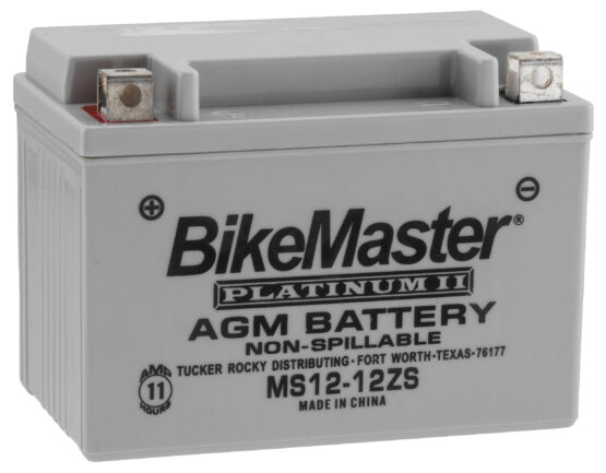 AGM Platinum II Battery