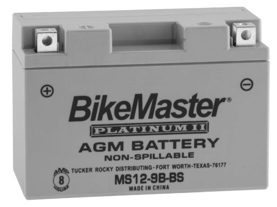 AGM Platinum II Battery
