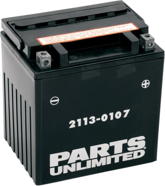 AGM Maintenance Free Battery 385CCA 12V 30Ah