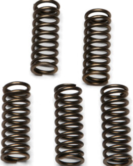 EBC CSK112 Clutch Springs +15% Upgrade CSK Series For 04-07 Honda CBR1000RR