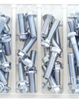 Bolt M8 10mm Hex Flange Bolt Assortment Pack - Silver