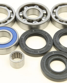 Rear Differential Bearing & Seal Kit