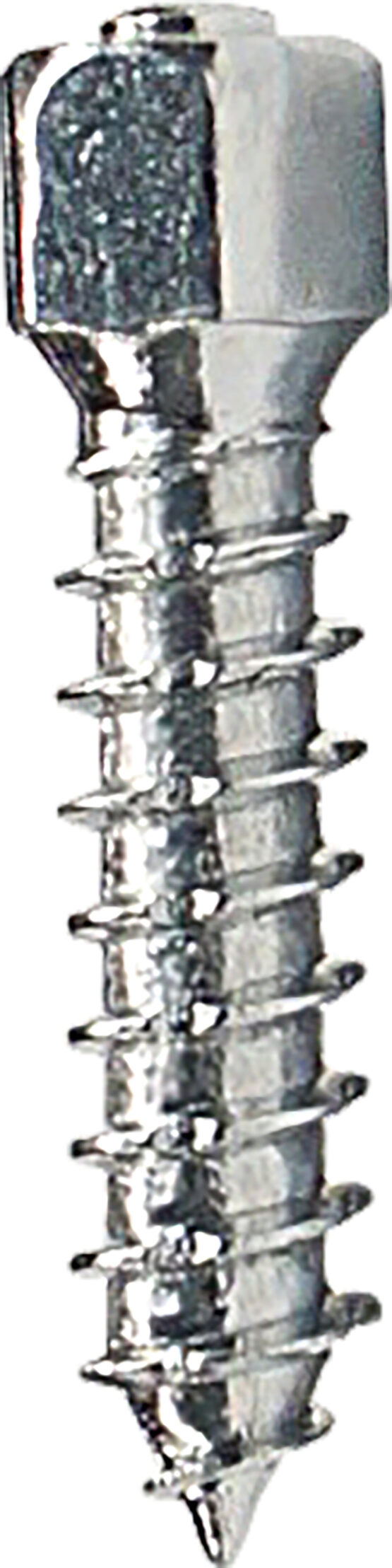 Woody's Attack Carbide Tire Screws 25mm 100 Pack - Image 2
