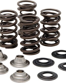 Racing Valve Spring Kit