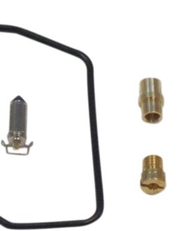 Carburetor Repair Kit