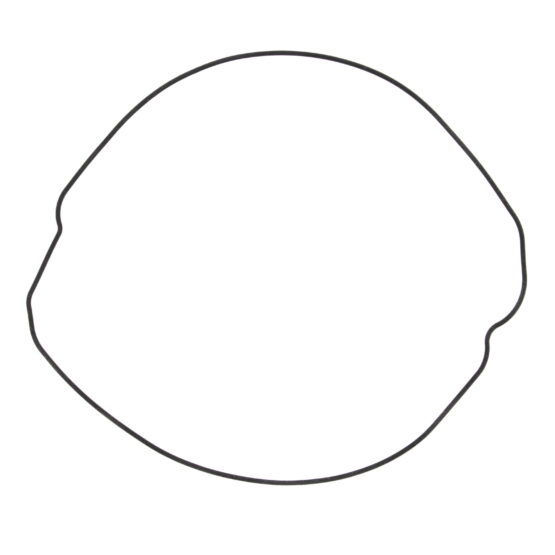Outer Clutch Cover Gasket / O-Ring - Image 2